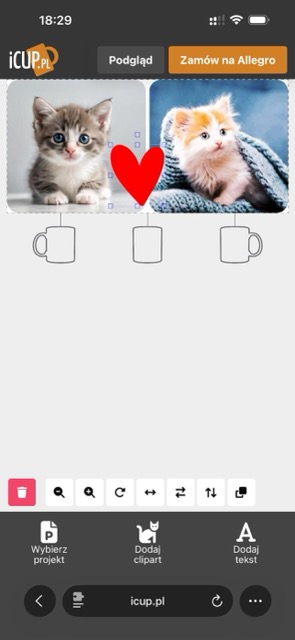 iCUP.pl layers